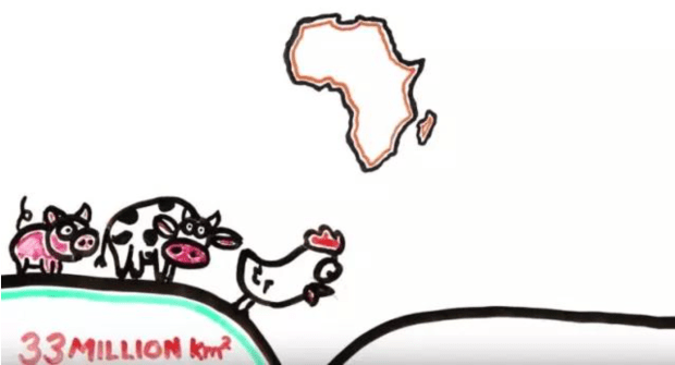 Screen Shot 2016-06-10 at 4.41.50 PM